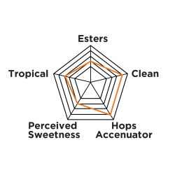 White Labs - WLP008 East Coast Ale - PurePitch Next Gen
