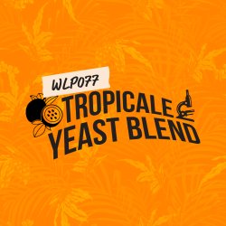 White Labs - WLP077 Tropicale Yeast Blend  - PurePitch Next Gen