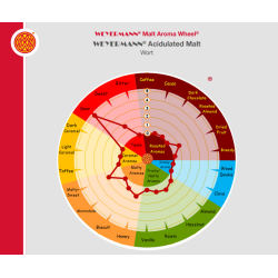 Acid - sauer (sur) malt - Weyermann, ebc 3 - 6, pr. 100 g.