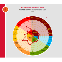 Pilsner Barke malt - Weyermann, ebc 2 - 4, pr. 100 g.