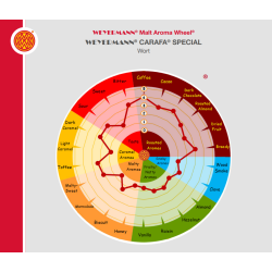 Carafa Type 3 malt (Special / Dehusked) - Weyermann, ebc 1300 - 1500, pr. 100 g.
