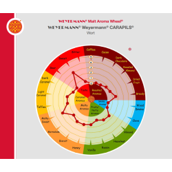 Carapils malt - Weyermann, ebc 2,5 - 6,5, pr. 100 g.
