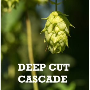 Cascade US - Deep Cut�, 2025 pellets, alpha 9,2%, 100 g.