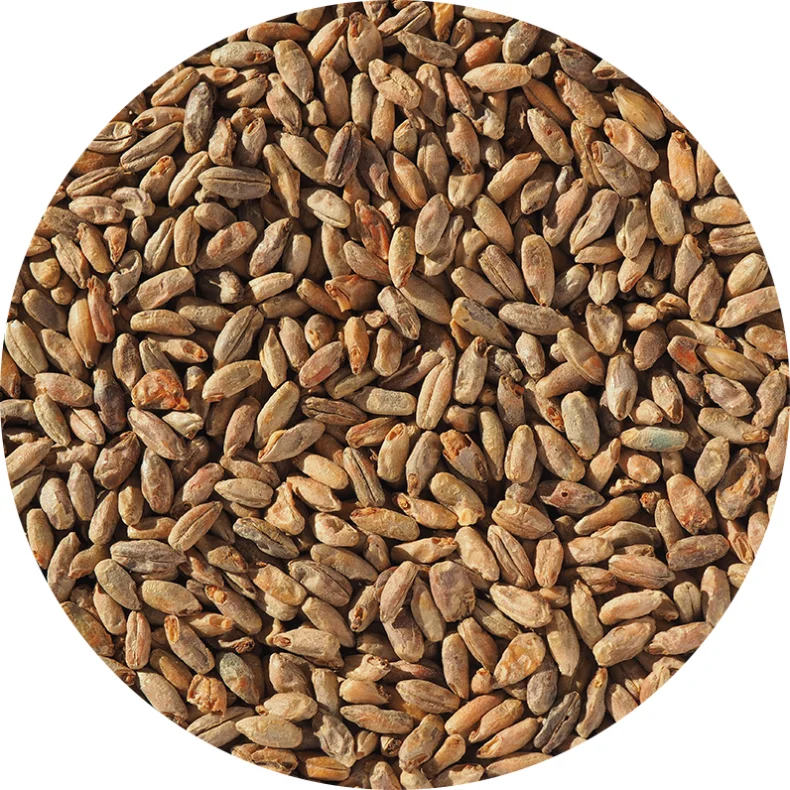 Rug malt - Crisp Malting, ebc 13 - 35, pr. 100 g.