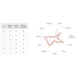 Fermentis - SafAle BE-256 Abbaye, 11,5 g. t�rg�r