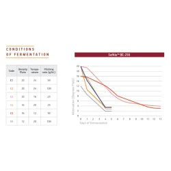 Fermentis - SafAle BE-256 Abbaye, 11,5 g. t�rg�r