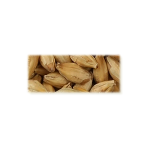Abbey malt - Castle Malting, ebc 41 - 49, pr. 100 g.