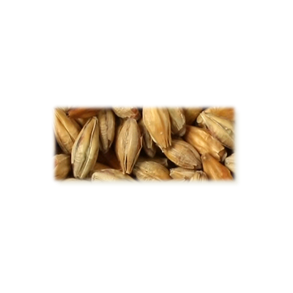 Arome malt - Castle Malting, ebc 95 - 105, pr. 100 g.