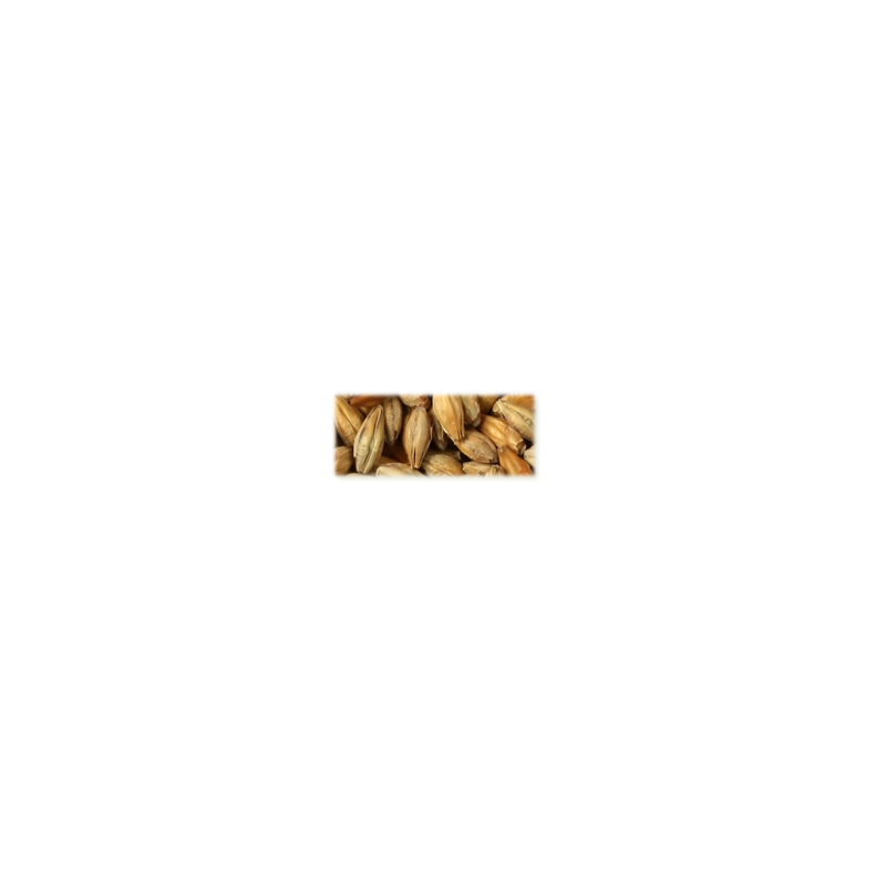 Arome malt - Castle Malting, ebc 95 - 105, pr. 100 g.