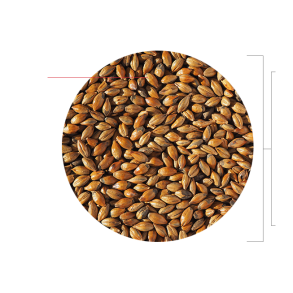 Brown malt - Thomas Fawcett, ebc 110 - 140, pr. 100 g.
