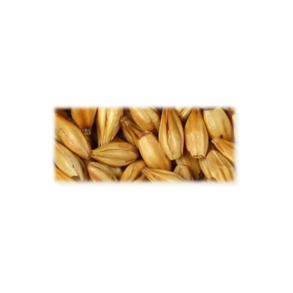 Cara Blond malt - Castle Malting, ebc 17 - 24, pr. 100 g.