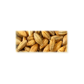 Cara Clair malt - Castle Malting, ebc 9, pr. 100 g.