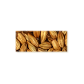 Cara Ruby malt - Castle Malting, ebc 45 - 55, pr. 100 g.