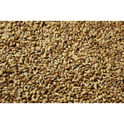 Caraamber malt - Weyermann, ebc 60 - 80, pr. 100 g.