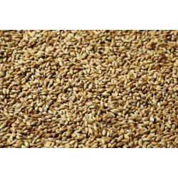 Carahell malt - Weyermann, ebc 20 - 30, pr. 100 g.