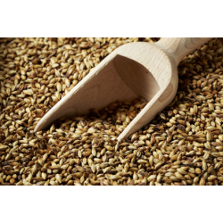 Caramunich Type 3 malt - Weyermann, ebc 140 - 160, pr. 100 g.