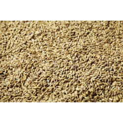 Carapils malt - Weyermann, ebc 2,5 - 6,5, pr. 100 g.