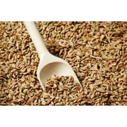 Carared malt - Weyermann, ebc 40 - 60, pr. 100 g.