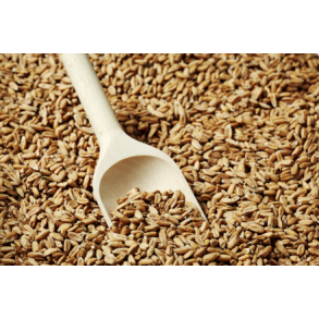 Carared malt - Weyermann, ebc 40 - 60, pr. 100 g.