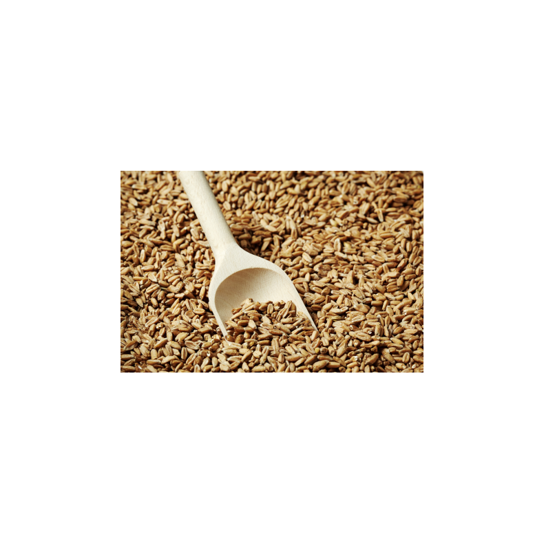 Carared malt - Weyermann, ebc 40 - 60, pr. 100 g.