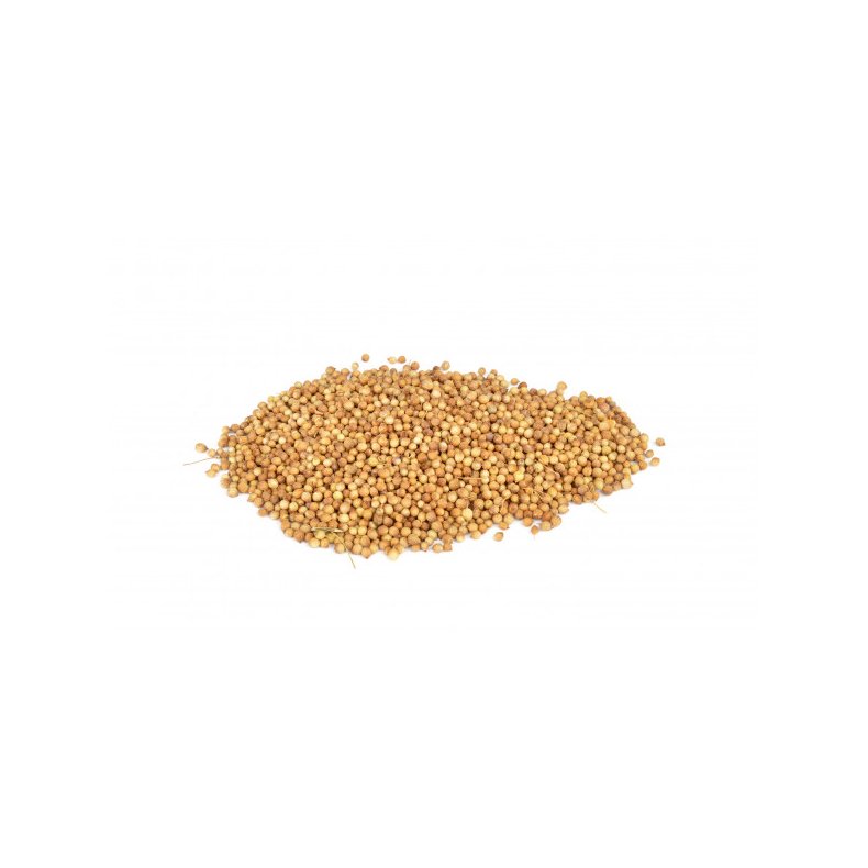 Koriander hel, 25 g.