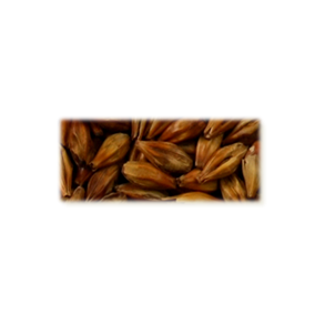 Crystal malt - Castle Malting, ebc 140 - 160, pr. 100 g.