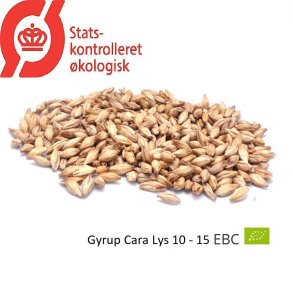 kologisk Karamel Rav malt - Gyrup Grdmalt, ebc 40 - 80, pr. 100 g.