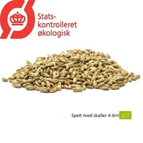 kologisk Spelt malt med skaller - Gyrup Grdmalt, ebc 3 - 5, pr. 100 g.
