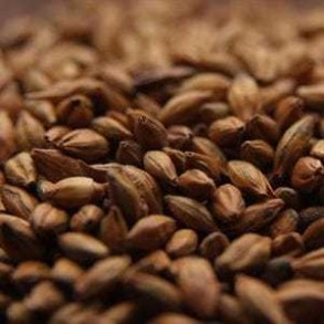 Cafe Light malt - Castle Malting, ebc 220 - 280, pr. 100 g.