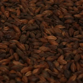 Chocolate malt - Castle Malting, ebc 800-1000, pr. 100 g.