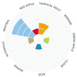 Lallemand - Voss Kveik Ale Gr, 11 g.