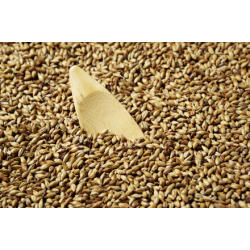 Melanoidin malt - Weyermann, ebc 60 - 80 pr. 100 g.