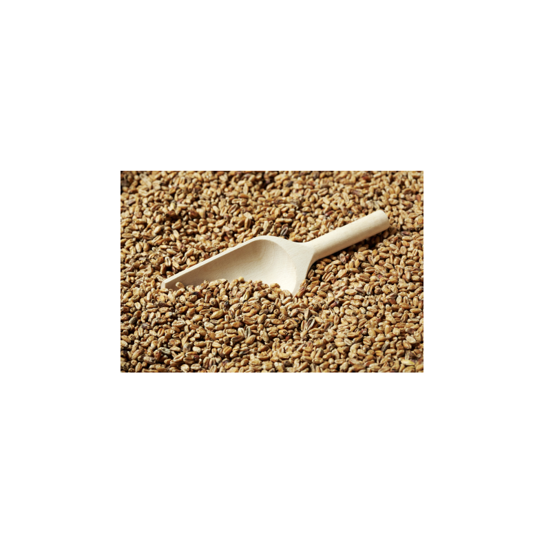 Oak smoked wheat malt,  Weyermann, ebc 4 - 6, pr. 100 g.
