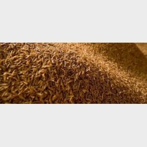 Risskaller - Castle Malting, pr. 100 g.