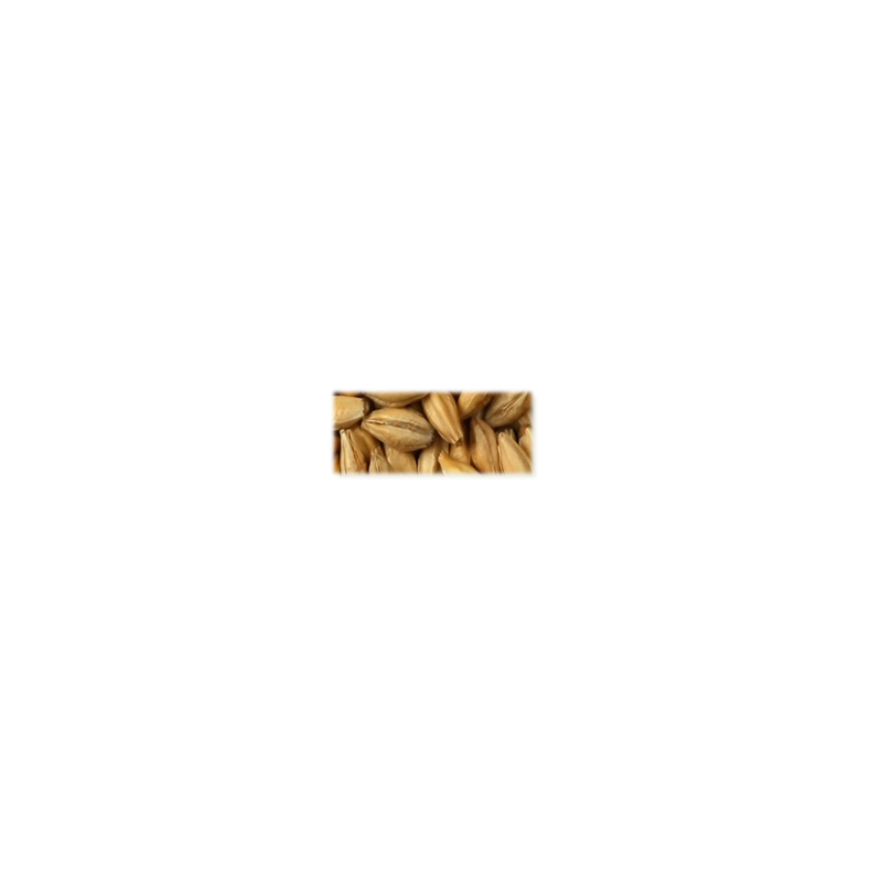 Rg malt (Peated) - Castle Malting, ebc 4, pr. 100 g.
